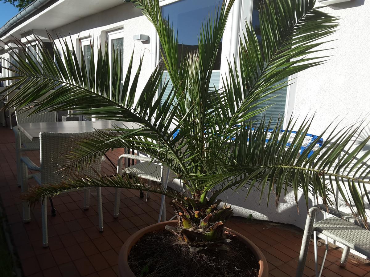 Strandidyll Apartment *